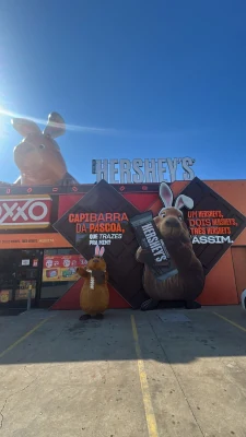Ação Hershey’s Oxxo Capibarra, imagem 3