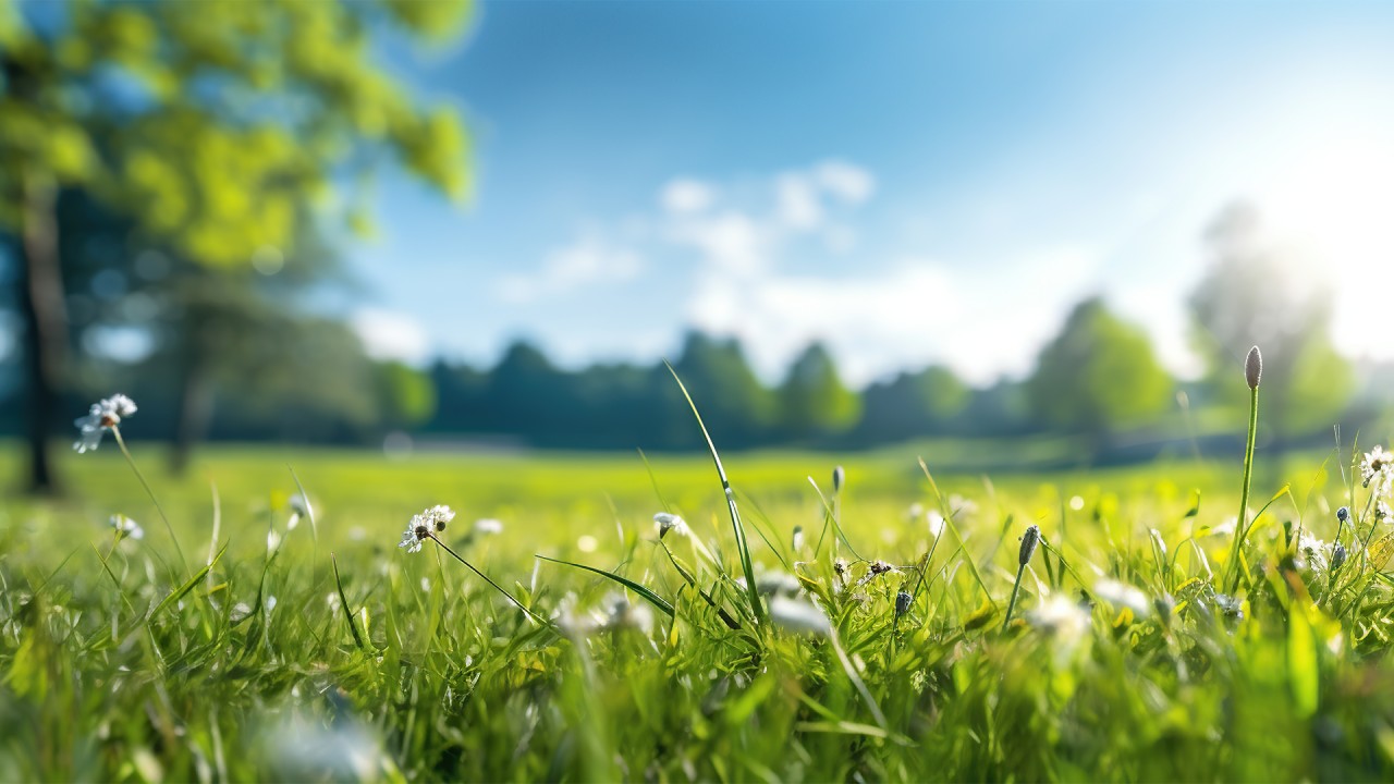 Sustentabilidade: o essencial não é diferencial